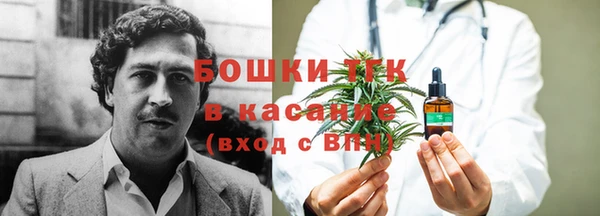 меф Арсеньев