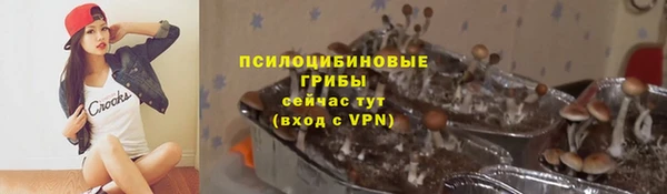 меф Арсеньев