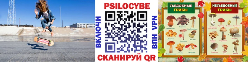где купить наркотик  Осташков  Псилоцибиновые грибы Magic Shrooms 